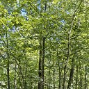 ���� Alex, ����, 50 ��� - ��������� 5 ���� 2025 � ������ ���� ����������