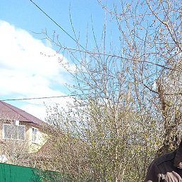 ������, ����, 69 ���