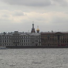 ������, ��������, 49 ���