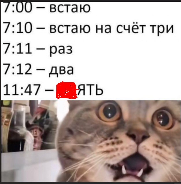   - 13  2025  14:05