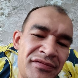 , 37, 