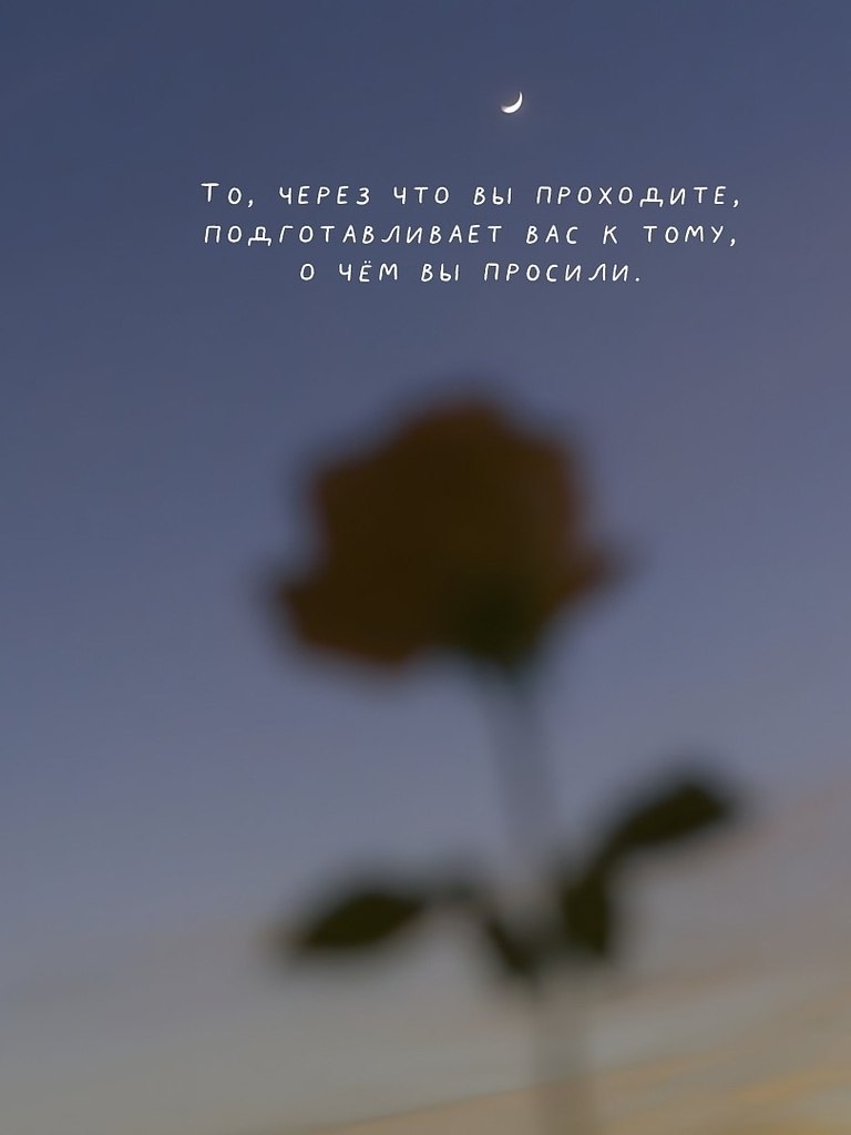 .�������. - 15 ������ 2025 � 18:12