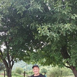 ������, �����������, 46 ���