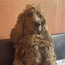 ���� ����� �., ������������, 60 ��� - ��������� 19 ������ 2025 � ������ ������ ��������