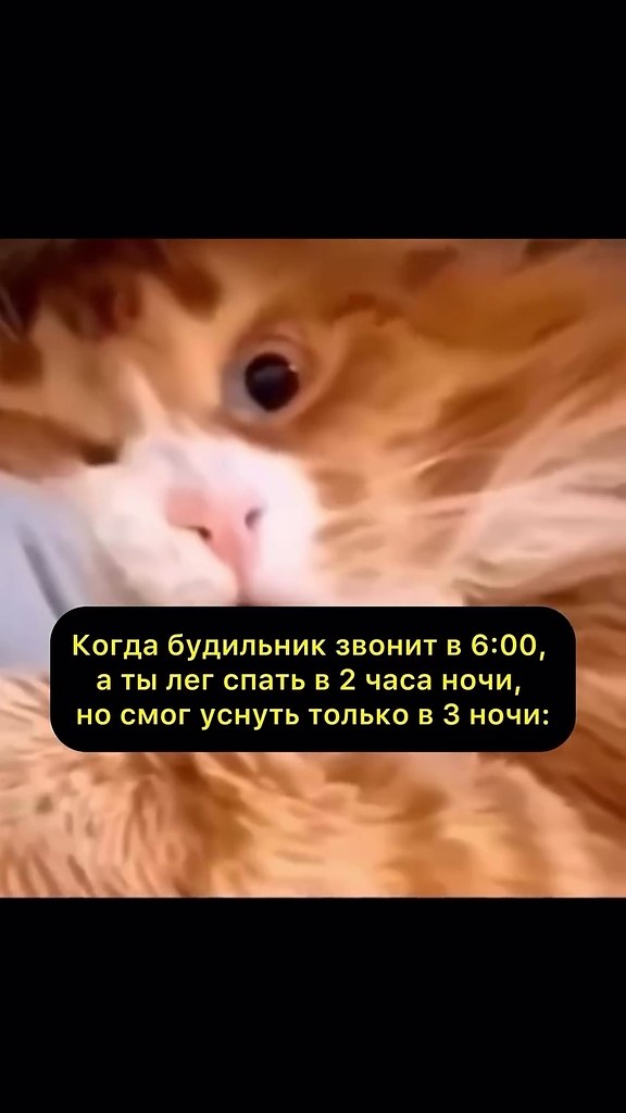 ����� � �� �����)