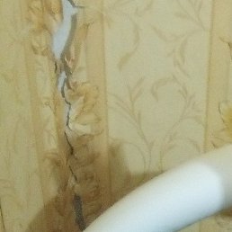 �����, ������, 57 ���