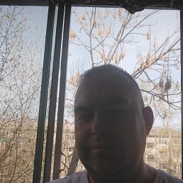 , 46, 