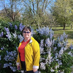 ������, ��������, 52 ����