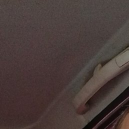 ����, ������, 33 ����