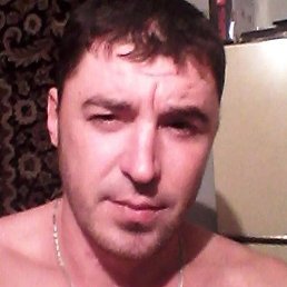 ����, �����������, 41 ���