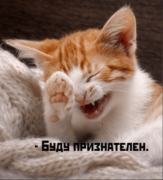 ��� ���� � ����� �� �� - 25 ���� 2026 � 19:02 - 4