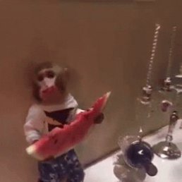 ���� Jasmin7, �������, 49 ��� - ��������� 29 ������� 2024