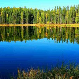 ���� ������, ������� �������� - ��������� 20 ������� 2025