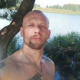 ���������, 41 ���, �����������