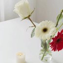 ���� ������, ����� - ��������� 10 ������� 2024 � ������ ������ ��������