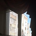 ���� ����, ������-���, 38 ��� - ��������� 29 ������� 2025