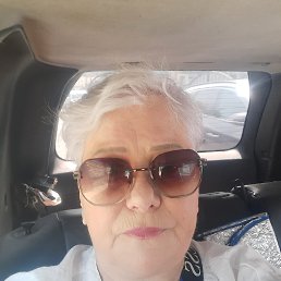 ���� �����, ������, 66 ��� - ��������� 5 ���� 2026