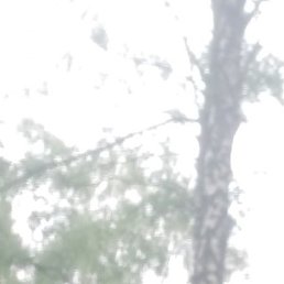 ������, ������, 42 ����