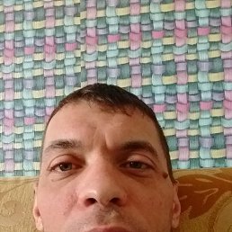 ���� �����, �����, 44 ���� - ��������� 25 ���� 2026