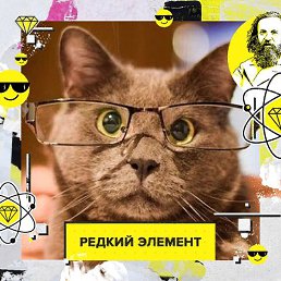 ���������, ������, 40 ���