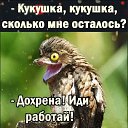 ���� �������, ������, 39 ��� - ��������� 19 ������ 2024 � ������ ���� ����������