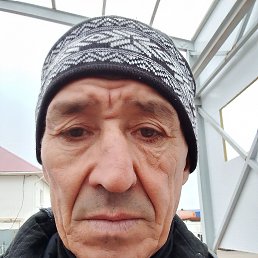 , 56, 