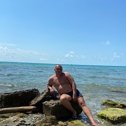 ����, 41 ���, ������