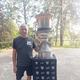 , 61, 
