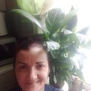 ���� ����, ������, 51 ��� - ��������� 17 ������� 2023 � ������ ���� ����������