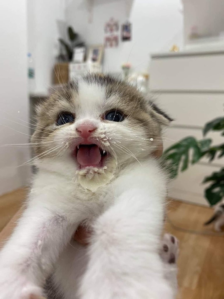     - 2
