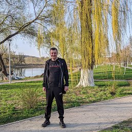 ���������, 37 ���, ��������