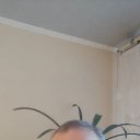 ���� ������, ��������, 55 ��� - ��������� 17 ������� 2025 � ������ ���� ����������