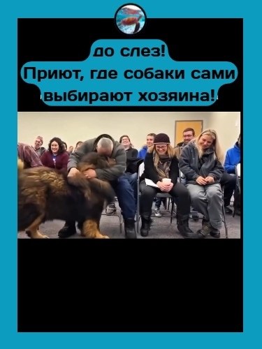 p��� ��e co�a�� ca�� ����pa�� �o����a � ��o �e�o��o��o c�o�pe�� c�o�o��o. ��o� �p���e �c� �po�c�o��� ...