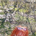  , -, 53  -  12  2025    