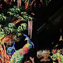 ���� Mari, ������ - ��������� 15 �������� 2024 � ������ ���� ����������