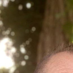 �������, �����������, 64 ����