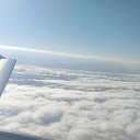 ���� ����, ���������, 46 ��� - ��������� 1 ������� 2024 � ������ ���� ����������