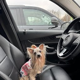 ���� ���������, ������, 42 ���� - ��������� 8 ������ 2026