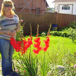 ����, ������, 67 ���