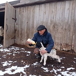 ����, ������, 52 ����