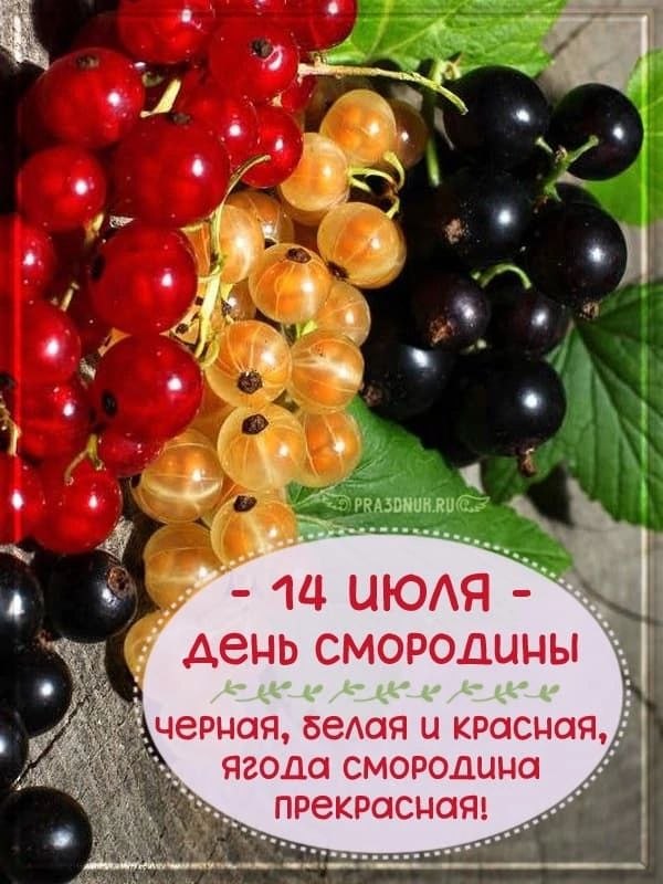 Сегодня СМОРОДИНА - ИМЕНИННИЦА! Смородина — не только вкусная, но и крайне полезная ягода, богатая ...