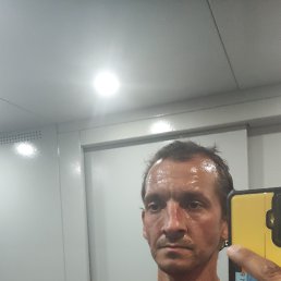 , 42, 