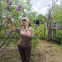 ���� ���������, �����������, 68 ��� - ��������� 23 ���� 2024 � ������ ���� ����������