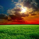 ���� Dima, ������, 37 ��� - ��������� 4 ������ 2023 � ������ ���� ����������
