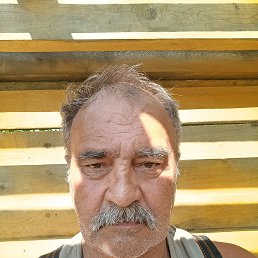 , 66, 