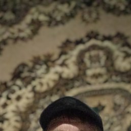 ����, 46 ���, ���������