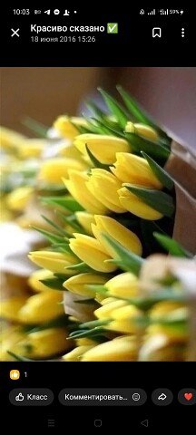 ���� Olea, �������, 35 ��� - ��������� 21 ������� 2023