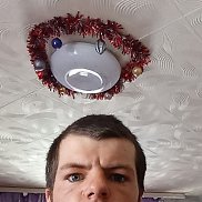 , 29 , 