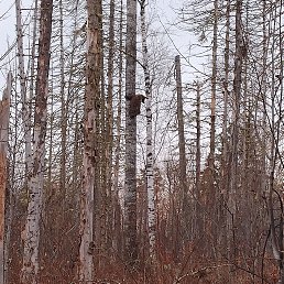 ���� ���������, ������, 45 ��� - ��������� 16 ������� 2025