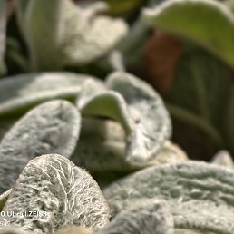 ���� �����, ������ - ��������� 10 ������� 2024